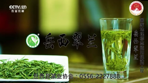 又 双 一地标品牌登陆央视广告