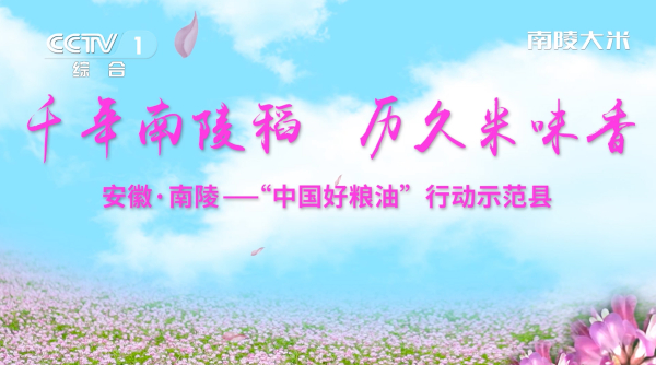 地理标志——南陵大米登陆央视